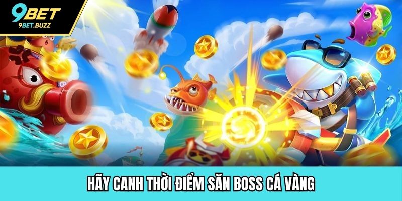 Hãy canh thời điểm săn boss cá vàng